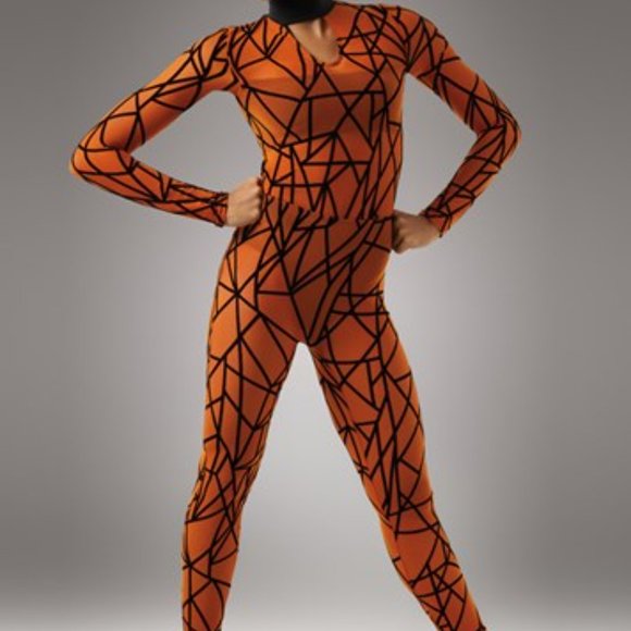Flocked power mesh long sleeve unitard - Picture 4 of 4